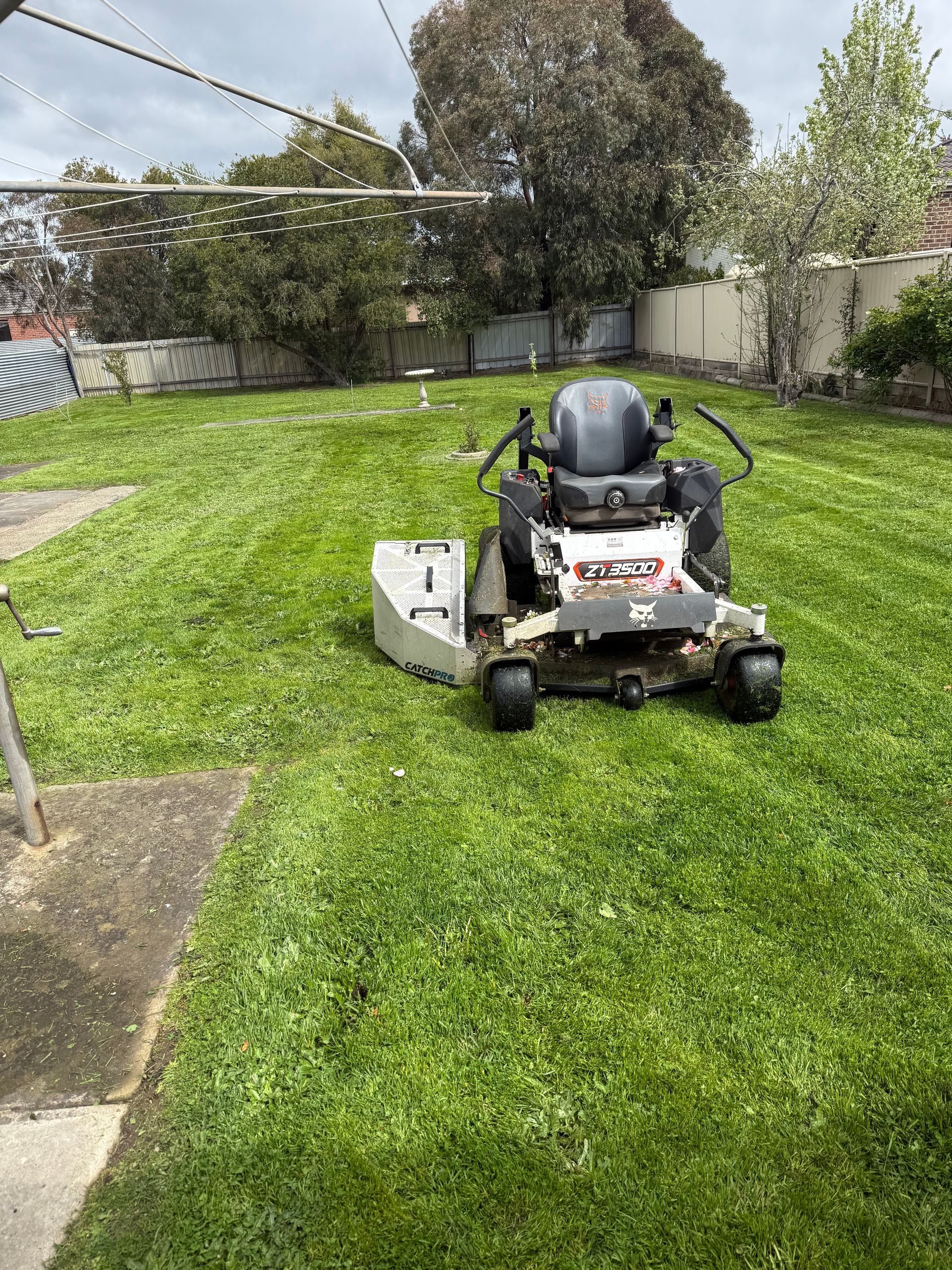 Ride on mowing with catcher