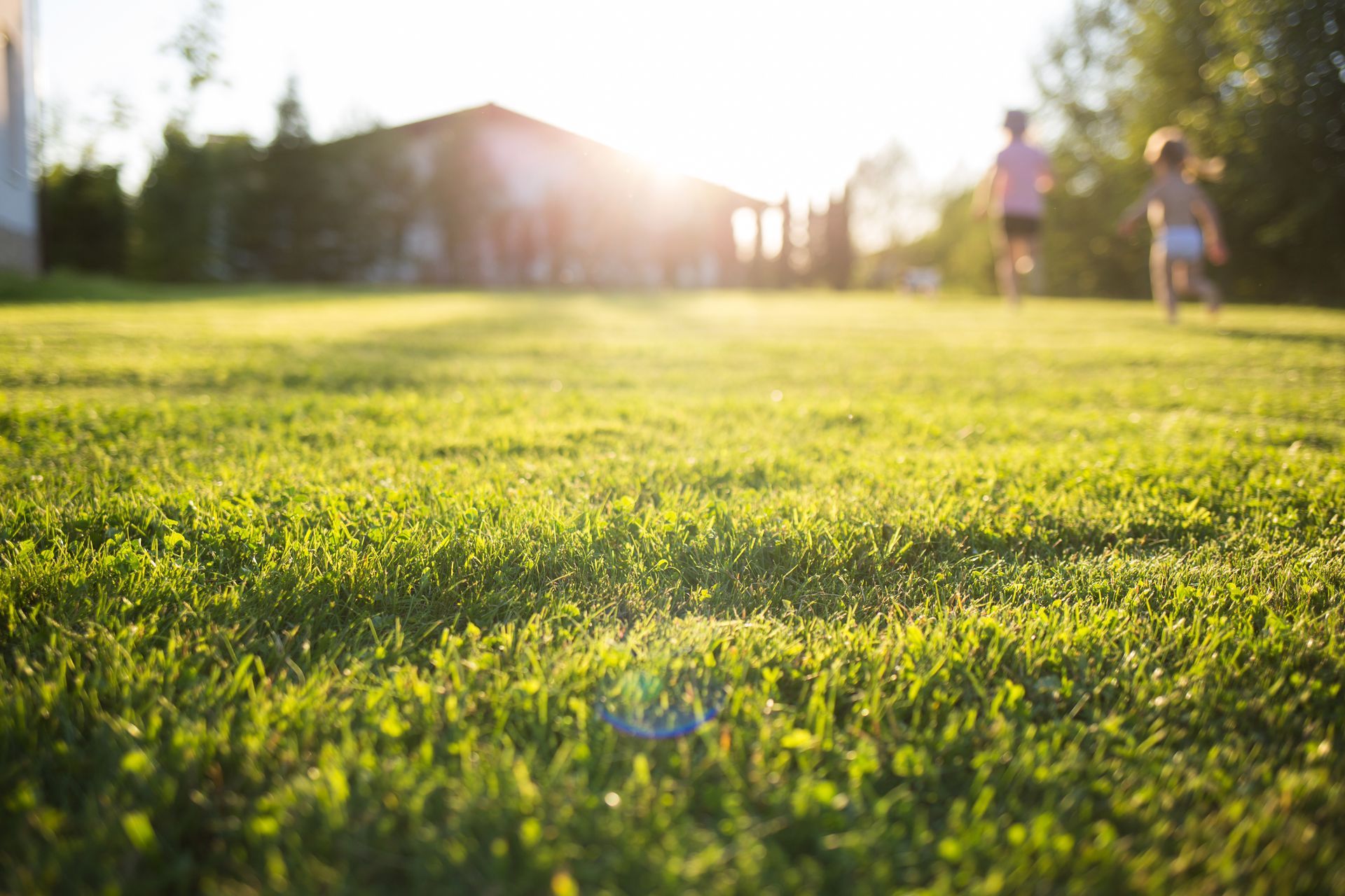 Two children play in a sunny, green backyard near a house at sunset.