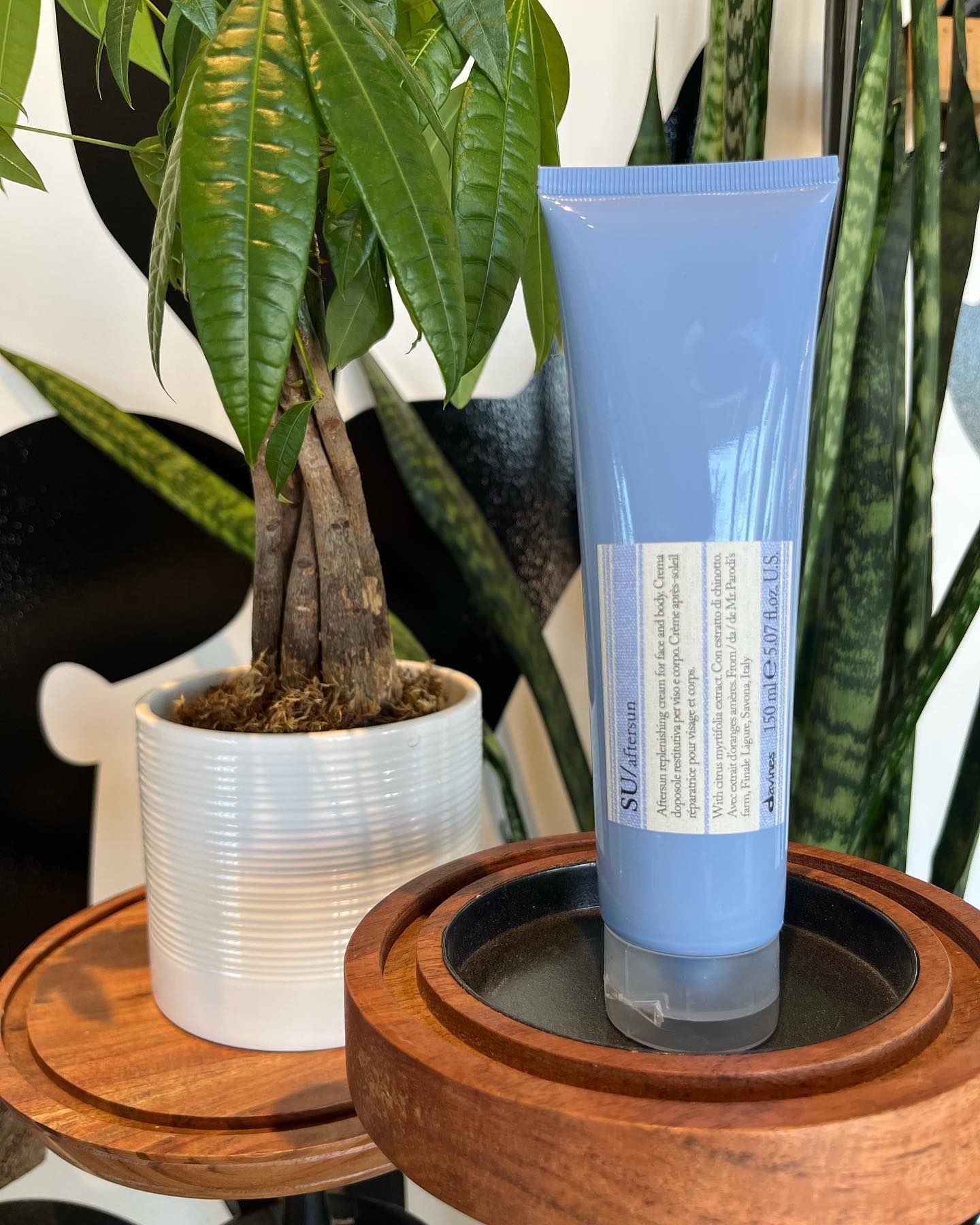A tube of lotion is sitting on a wooden shelf next to a potted plant.