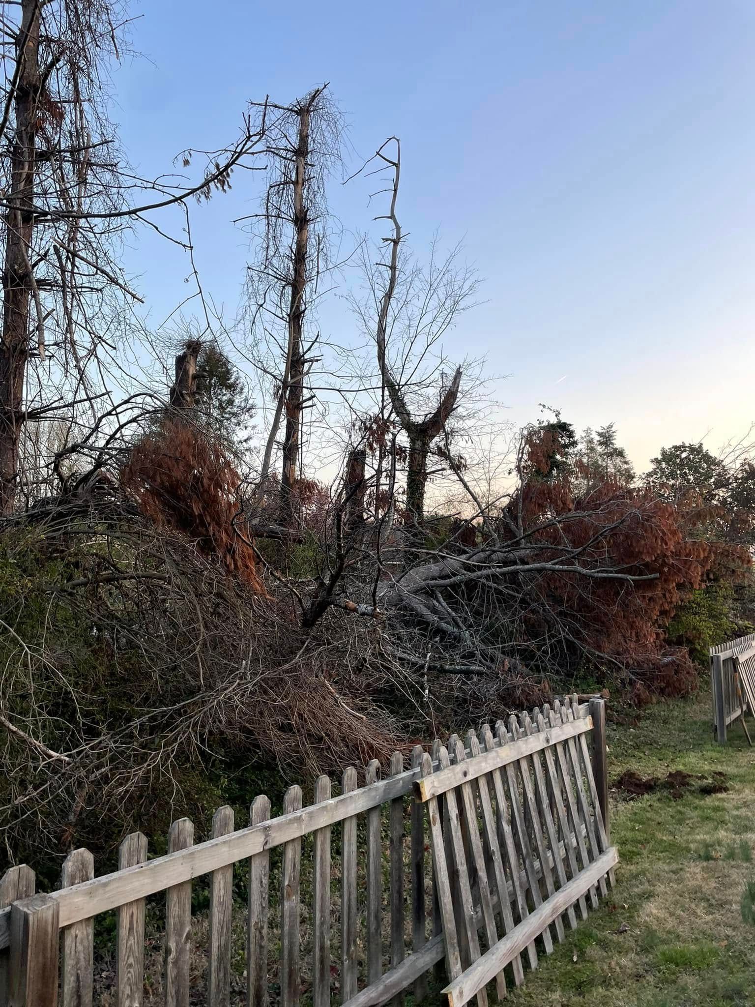 Fence in front of a pile of fallen, charred trees and bushes under a dusky sky.