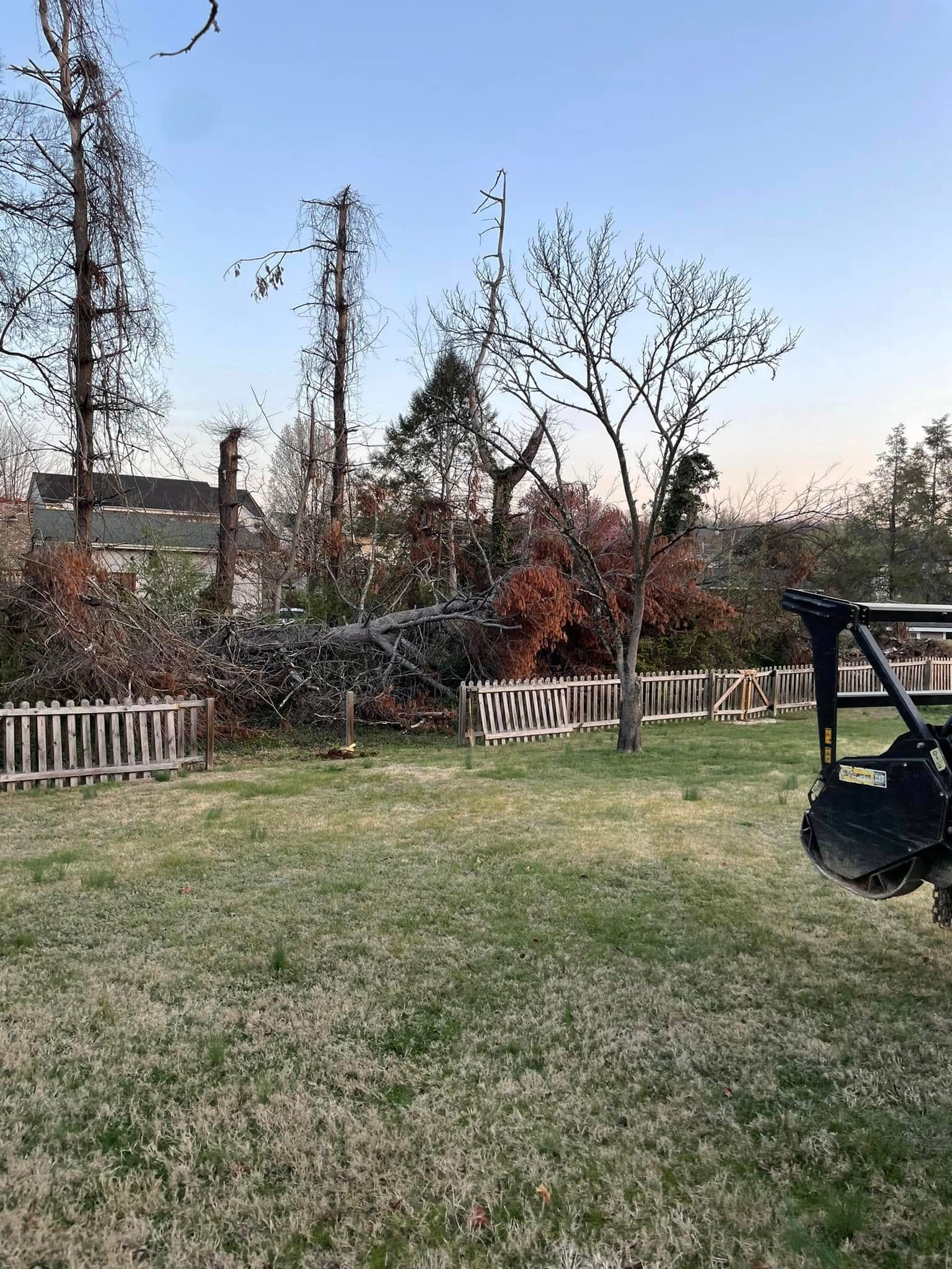 Lawn with a small fence, a tree, and some bushes. In the background, there's a blue sky and a tractor.