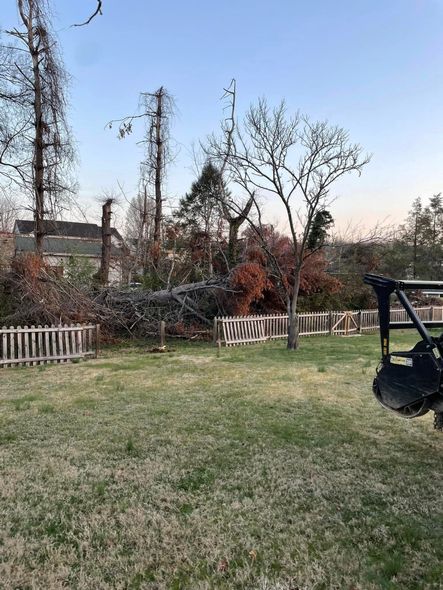 Lawn with a small fence, a tree, and some bushes. In the background, there's a blue sky and a tractor.