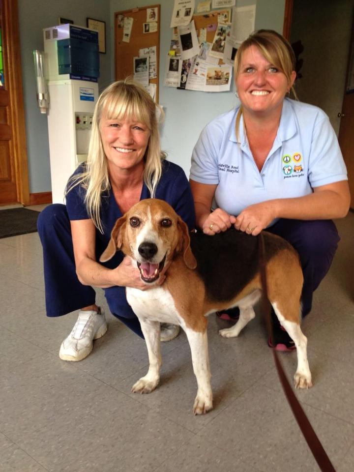Veterinarians posing for a picture with a beagle