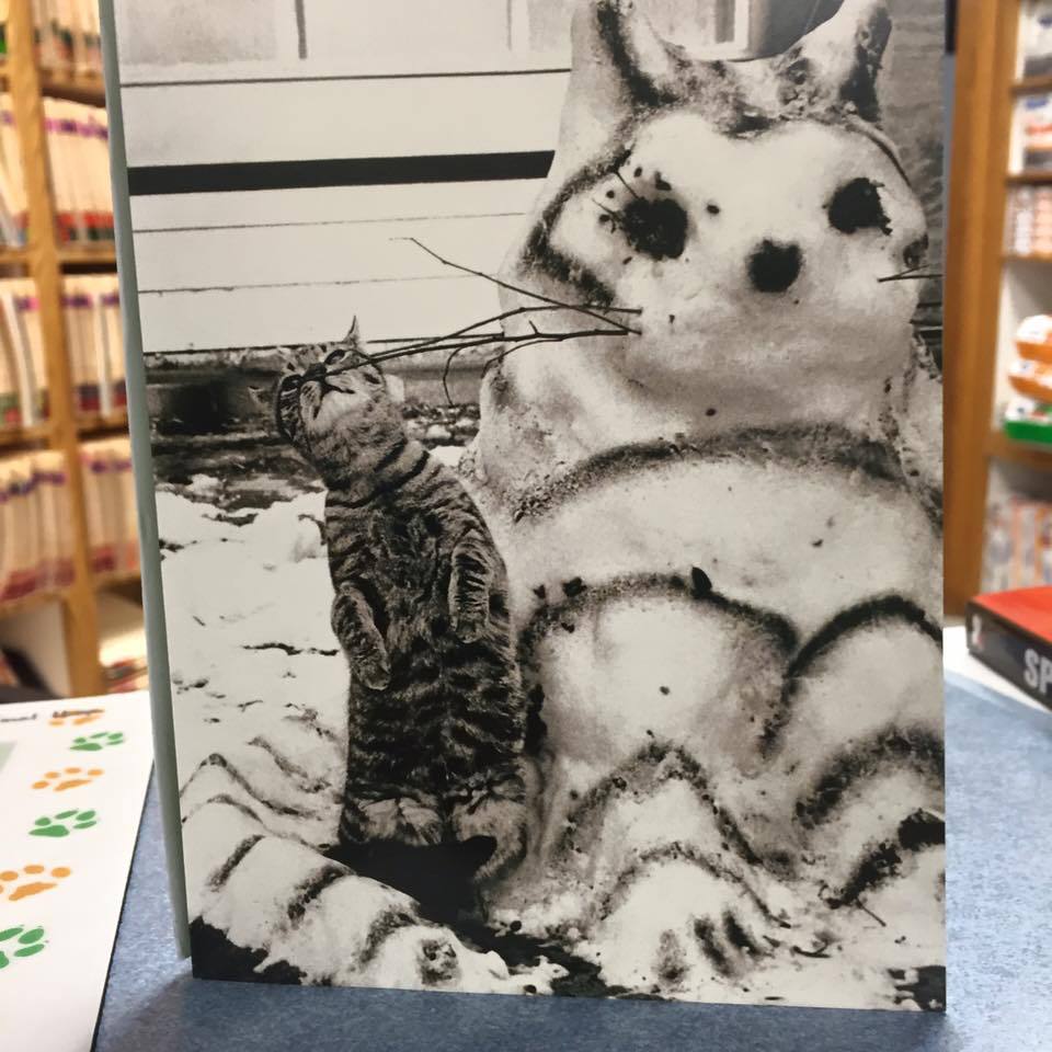 A gray and black striped cat sitting by a cat snowman