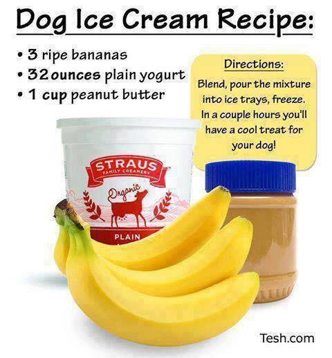 Recipe for dog ice cream