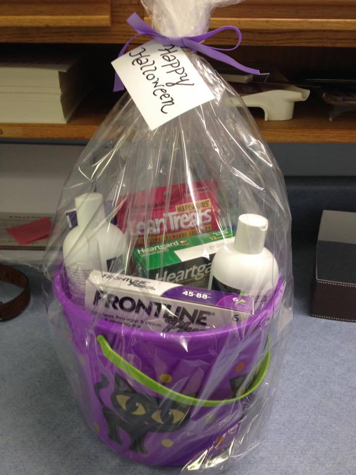 A halloween basket with dog treats and hygiene care products