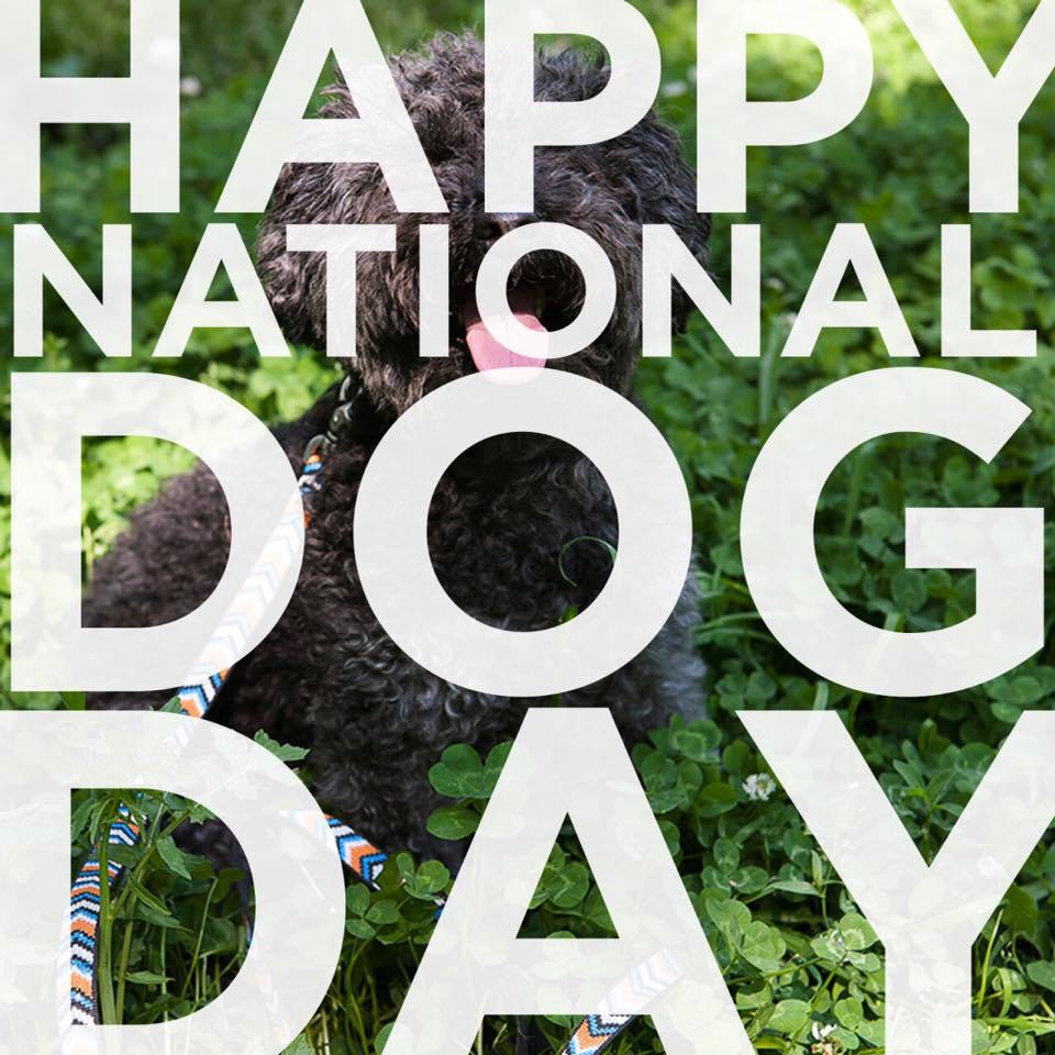 Happy National Dog Day Sign