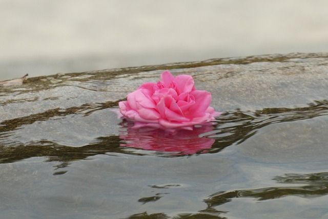 cremation services in Parkville, PA