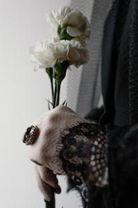 cremation service near Parkville, PA