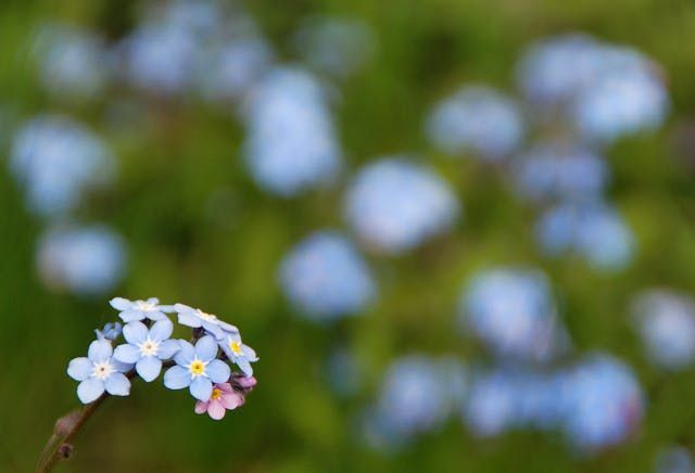 cremation services near McSherrystown, PA