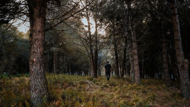 cremation services near McSherrystown, PA