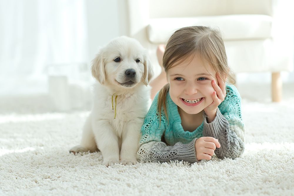 Cute Puppy And Cute Little Girl