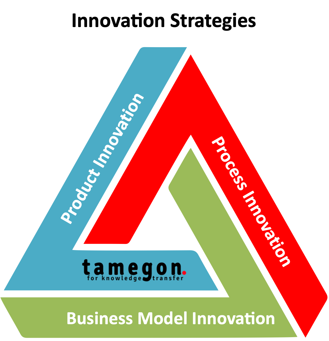 Innovation Strategies tamegon