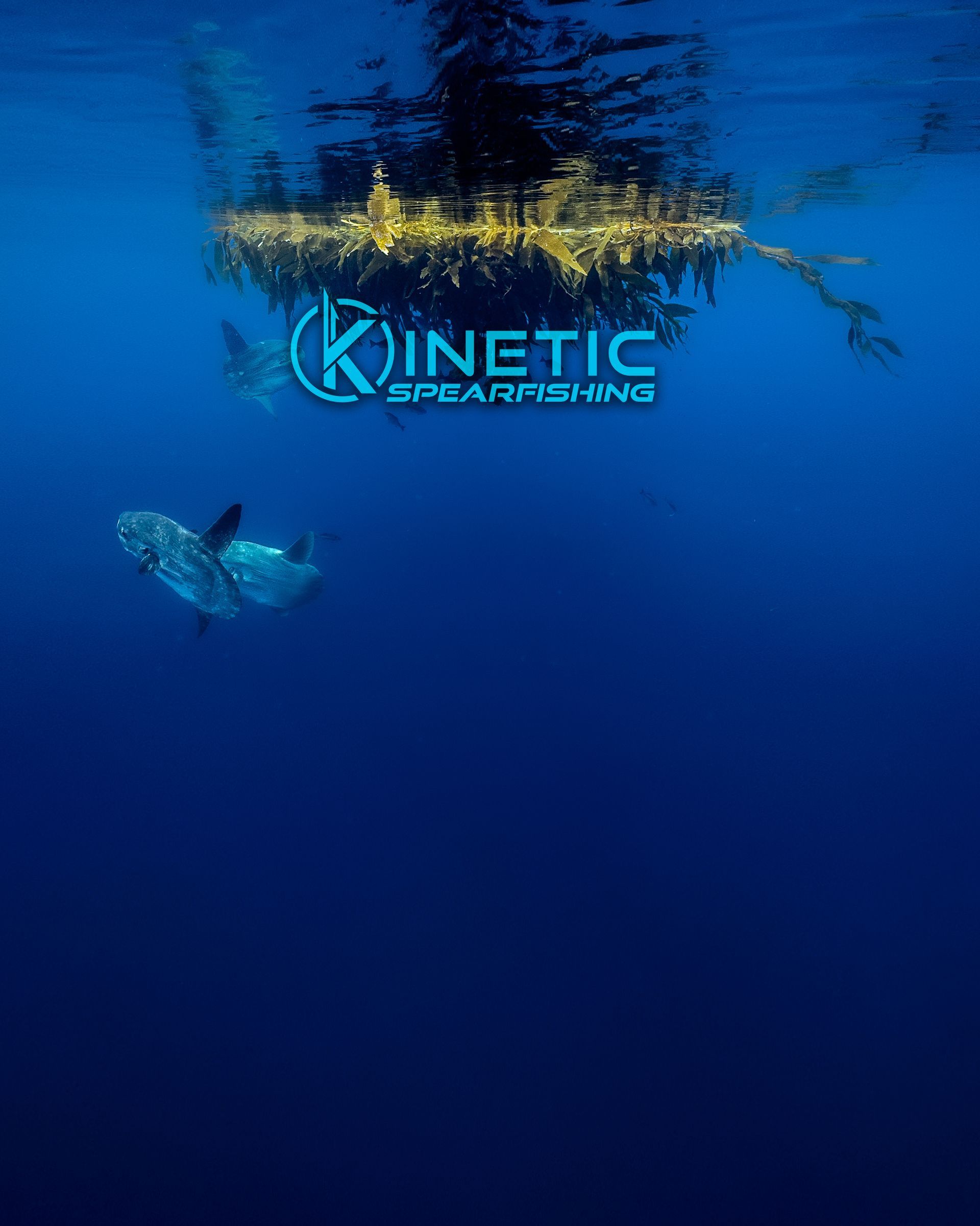 A poster for kinetic spearfishing shows a whale swimming in the ocean