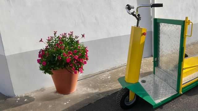 Línea Verde Transporte de carros de vivero y transporte de plantas pesadas Euro Green Tech