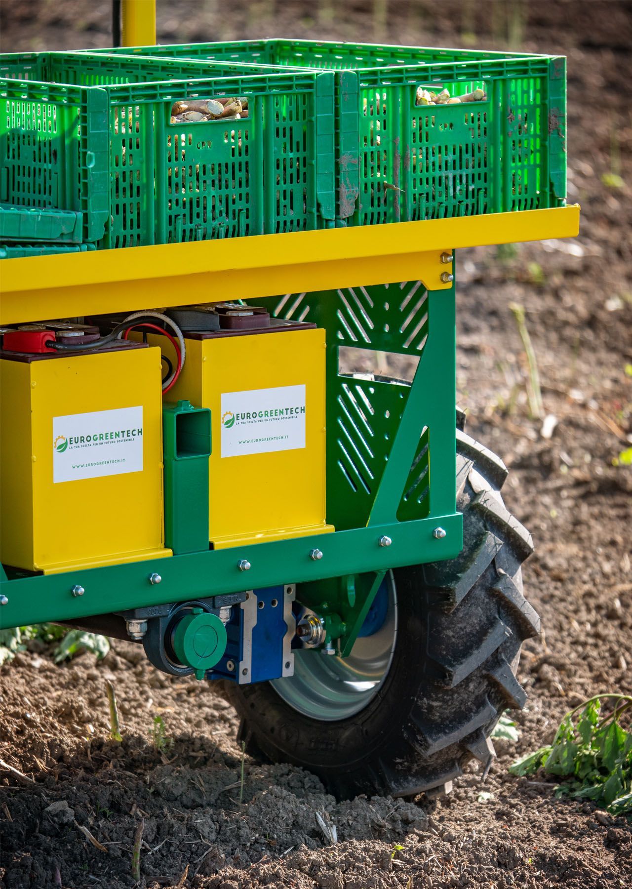 EGT - Aide électrique pour la récolte manuelle des asperges