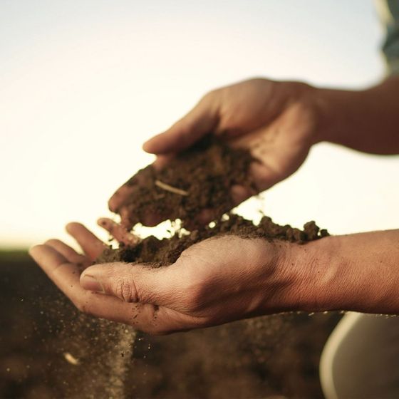 Agricultura sostenible. Ayudas eléctricas, innovaciones agrícolas, ayudas con paneles fotovoltaicos.