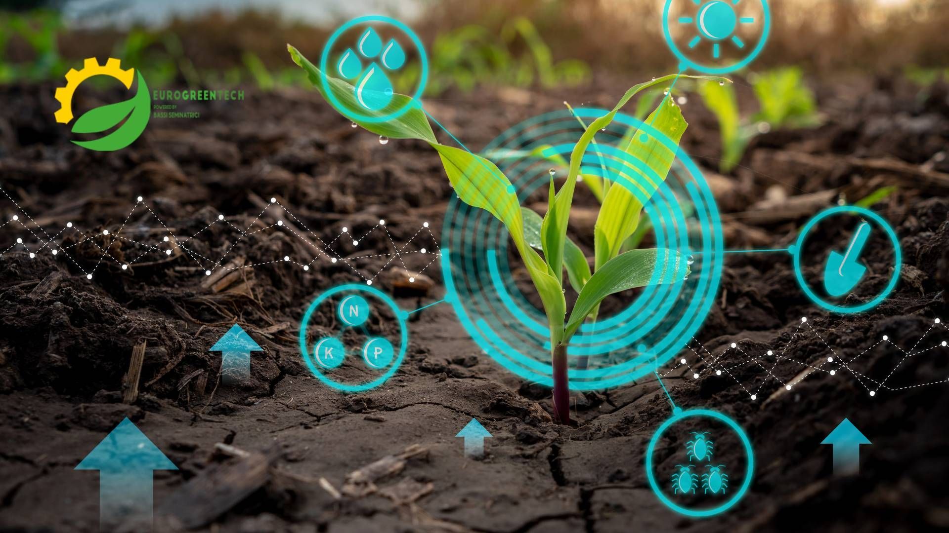 Innovazioni agricoltura: sostenibilità dalla semina alla raccolta