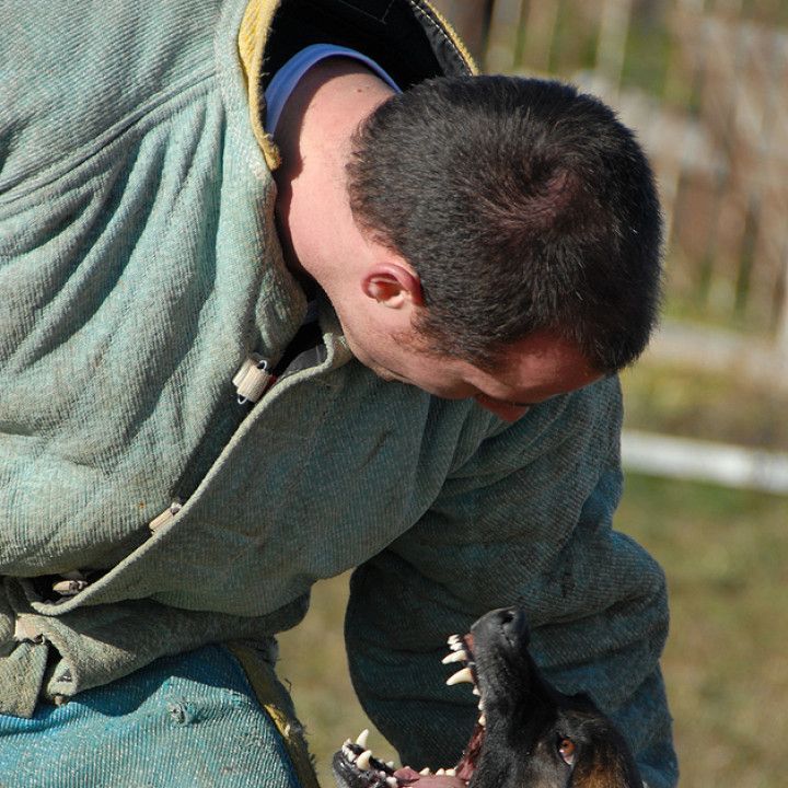 Man Confronting an Angry Dog