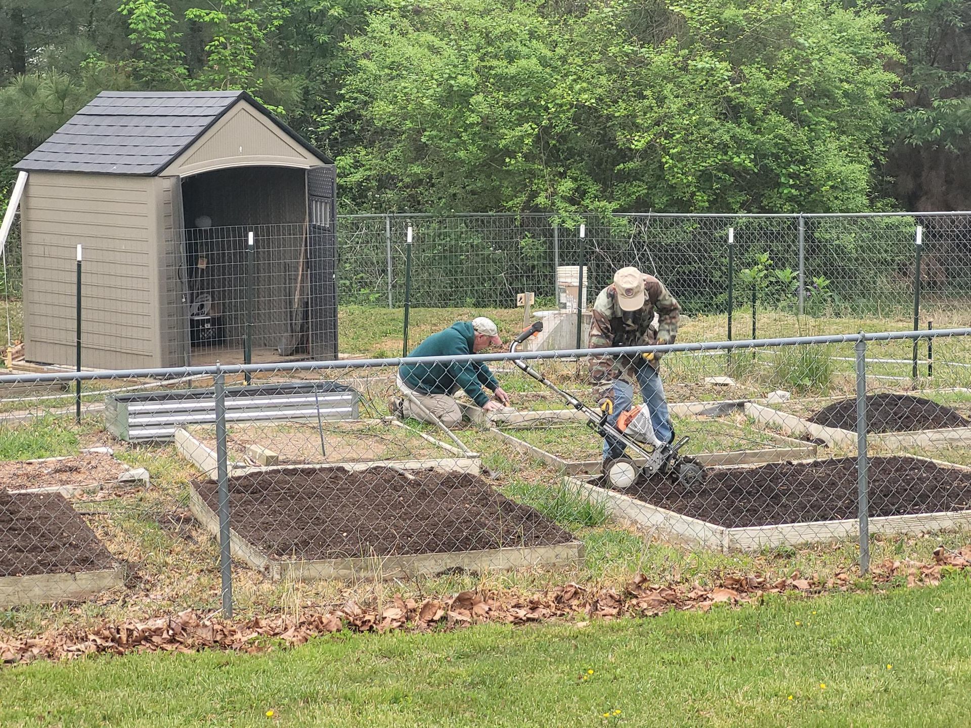 Two people cultivate soil in raised garden beds next to a storage shed in a fenced yard.