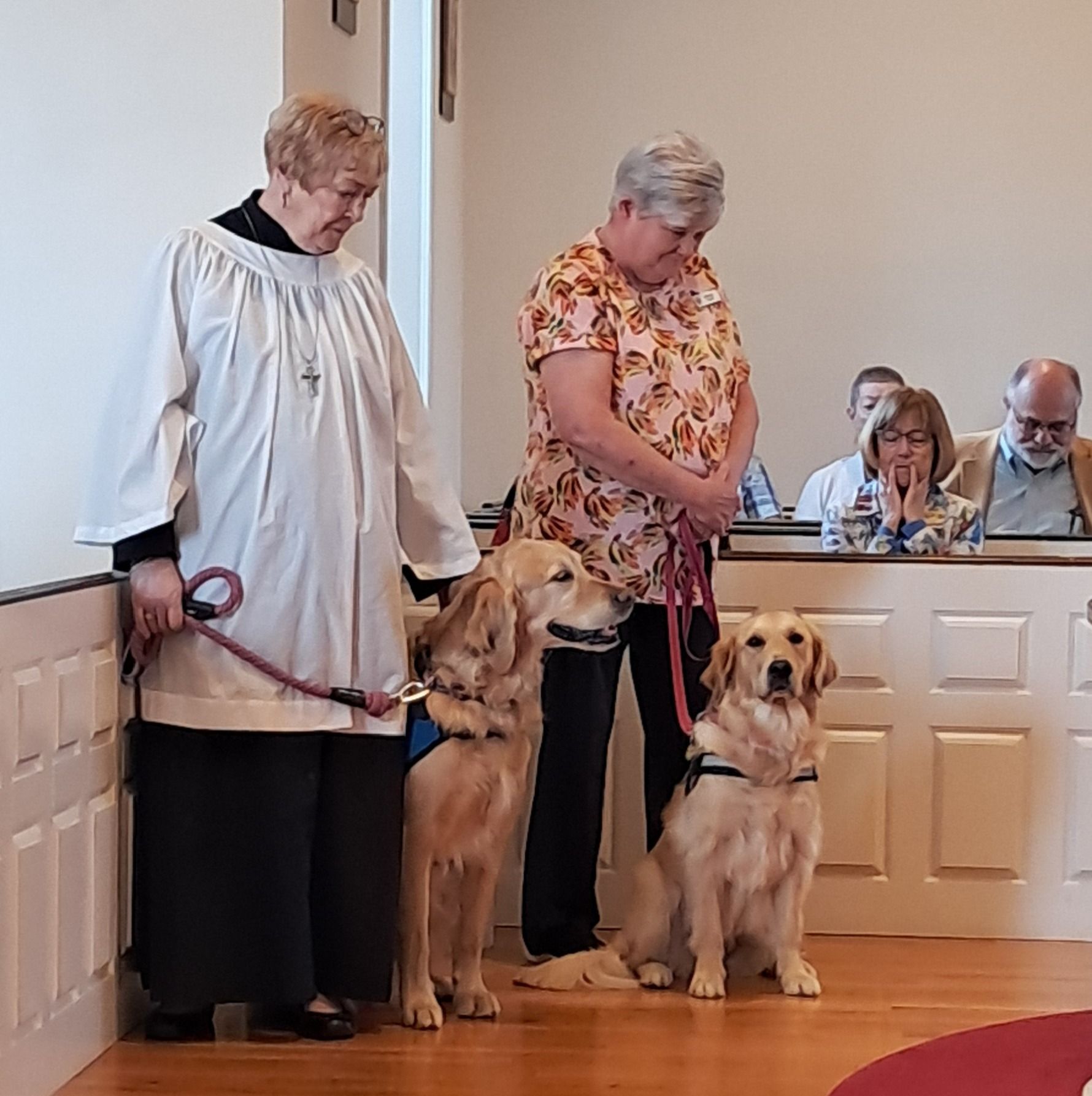 Two people stand in a church with two golden retrievers on leashes, accompanied by congregants sitting in the pews.
