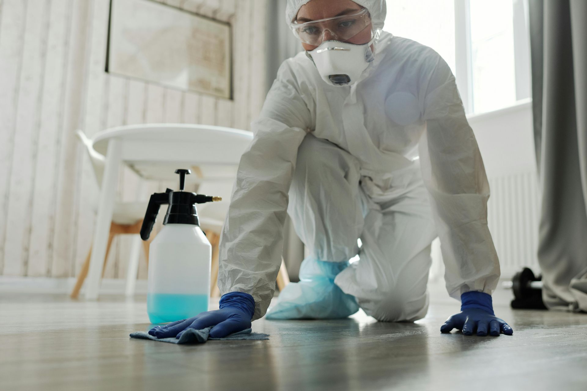 High Level Cleaning
