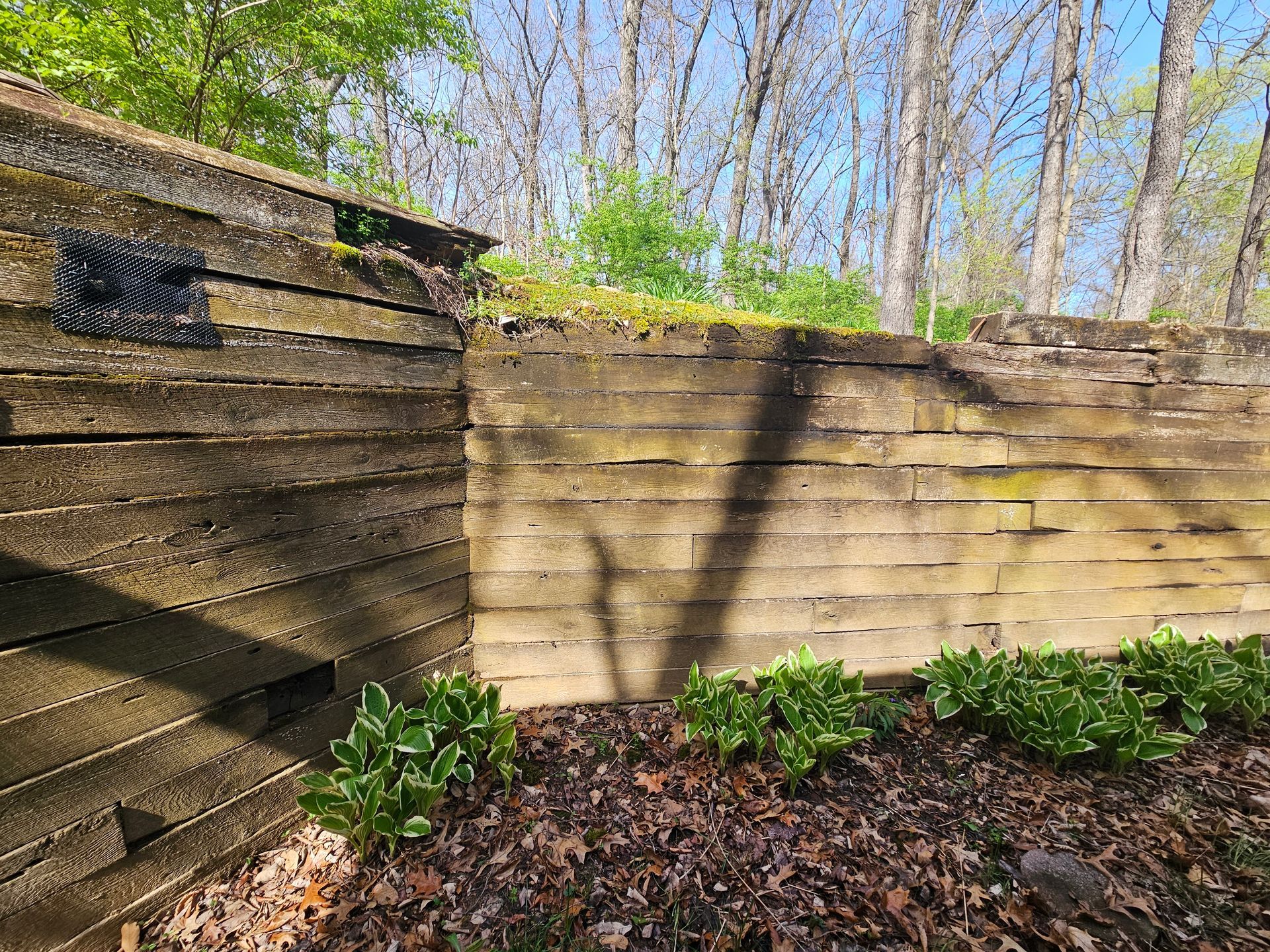 Wooden retaining wall with a garden in front, trees in the background, sunny day.