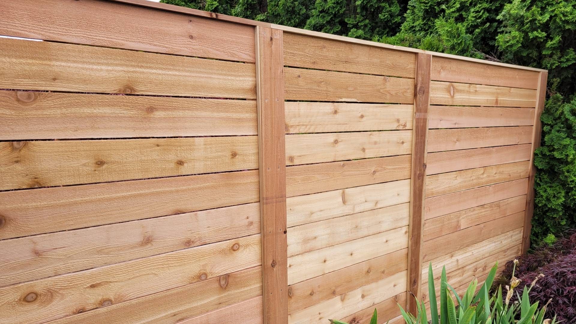 A black metal fence surrounds a gravel path in a yard.