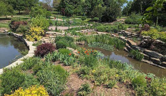 Dumpster Rental – Johnson County, KS