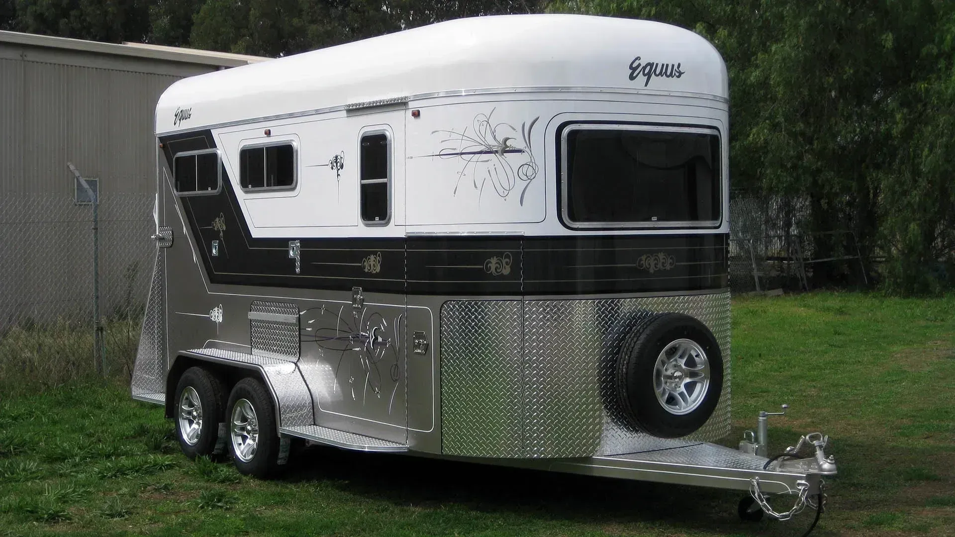 Horse Trailer With White Roof, Black Accents — Caravan and Trailer Clinic Geelong in Breakwater, VIC