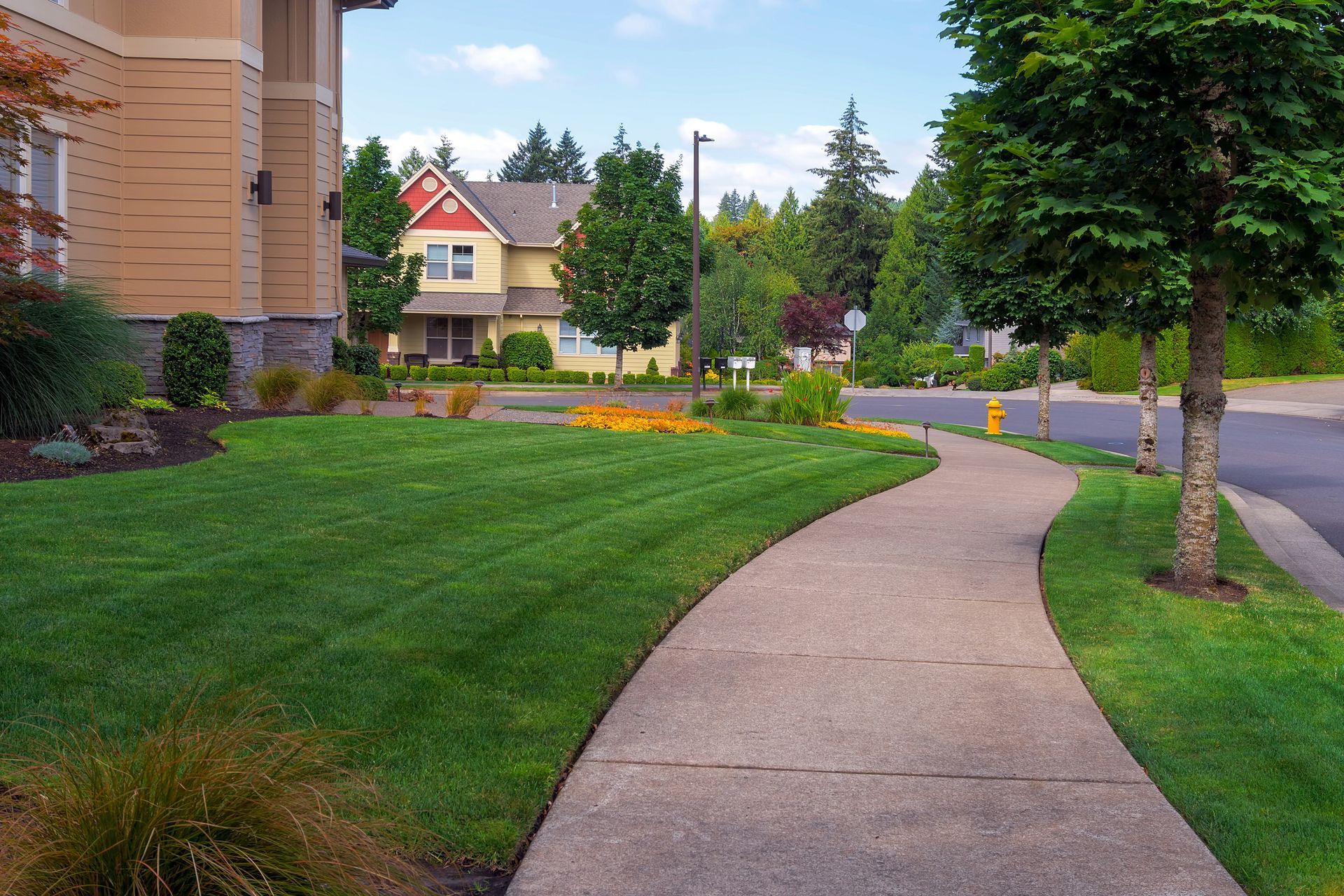 A sidewalk leading to a house in a residential neighborhood.