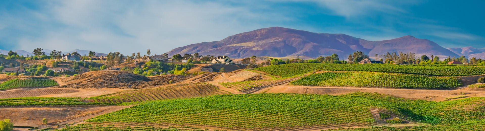 Limo Winery Tours Temecula