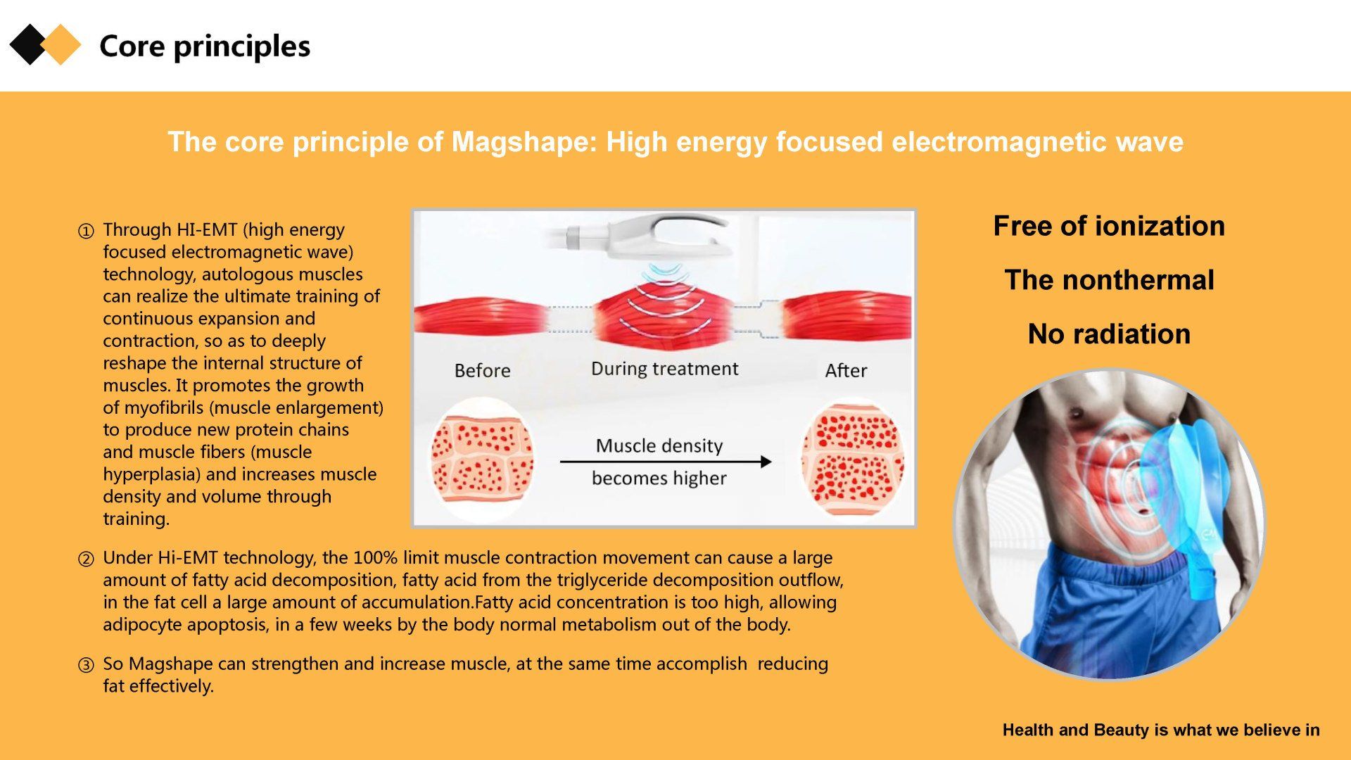 Magshape Bodysculpting præsentation