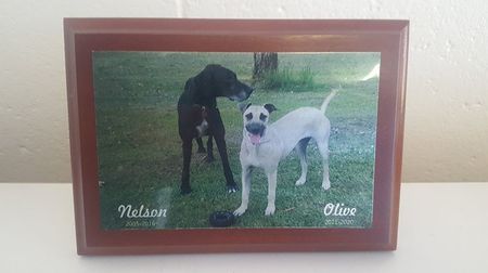 Create a memorial plaque in memory of loved ones or pets