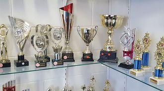 A wide range of trophies and cups in a variety of styles, colours, sizes at competitive prices