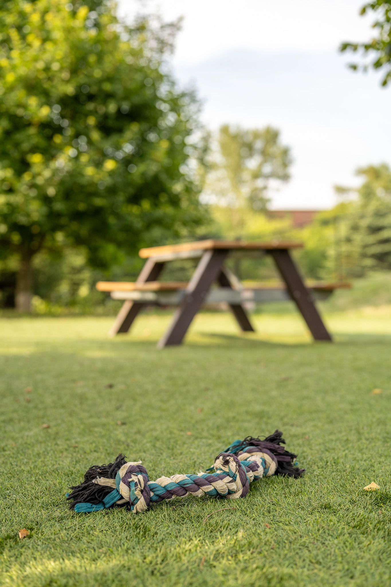 A dog toy is laying on the grass in front of a picnic table at Maple Knoll Apartments.