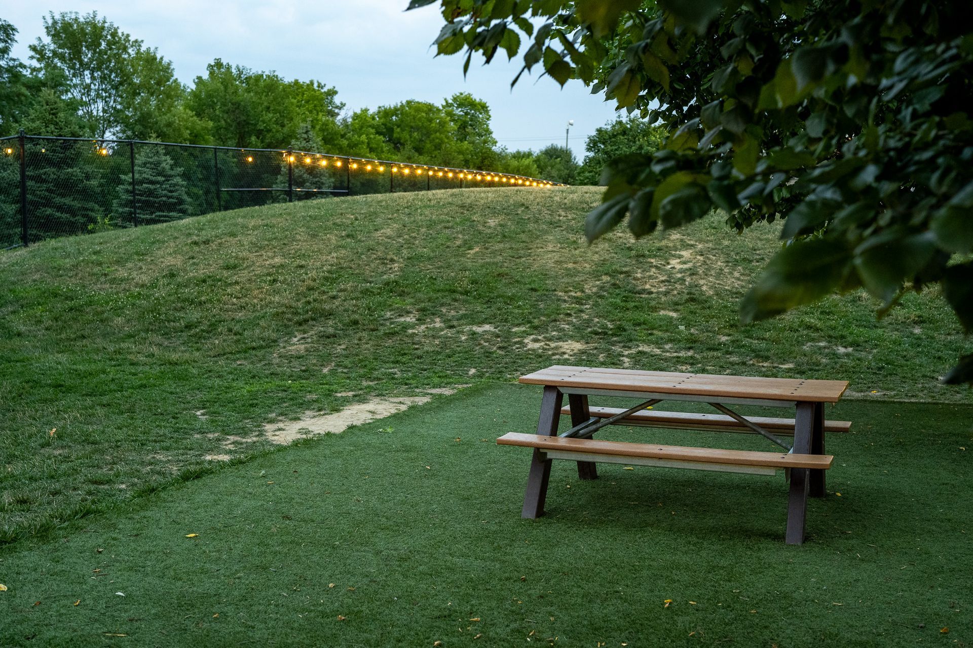 A wooden picnic table is sitting on top of a lush green field at Maple Knoll Apartments