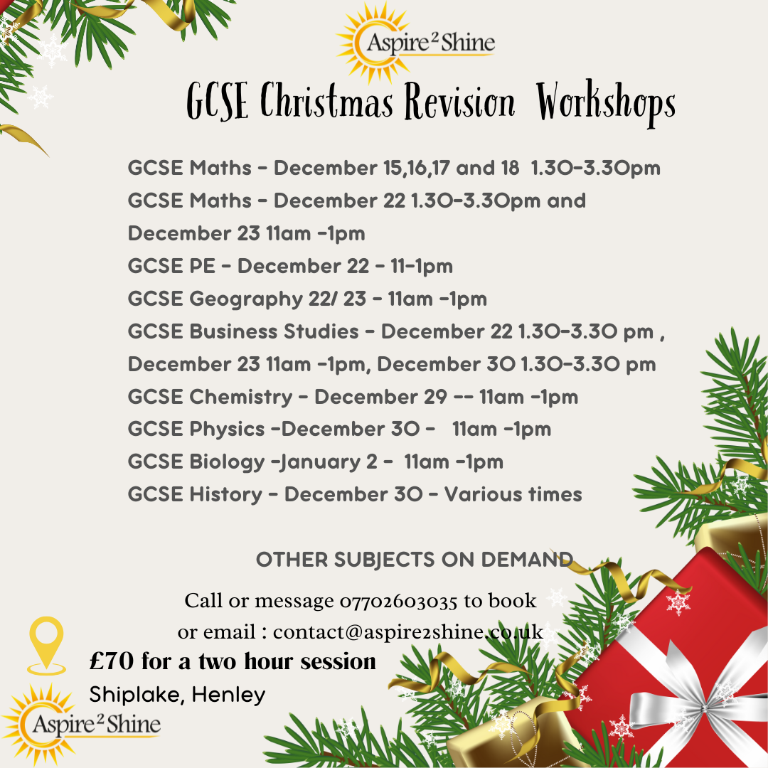 founder alison tutoring student 