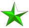 LOGO STAR