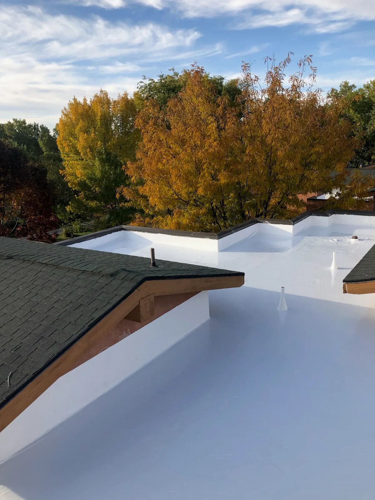 View of a white flat roof with dark trim and a green shingled roof section, autumn trees in the background.