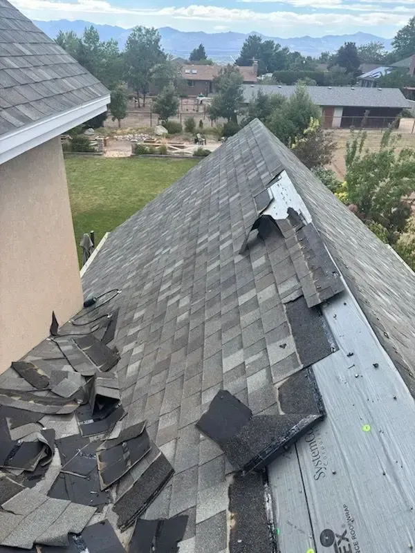 Damaged asphalt shingle roof. Gray shingles torn and missing; underlayment exposed. Green yard and distant houses.