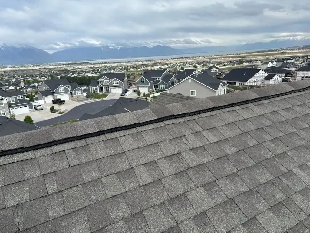 Rooftop view of suburban homes with mountains in the background under an overcast sky.