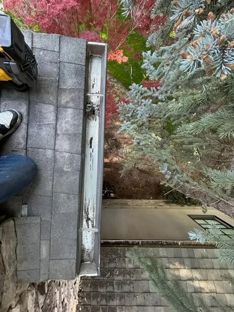 Man working on a roof gutter next to trees with red and green leaves.