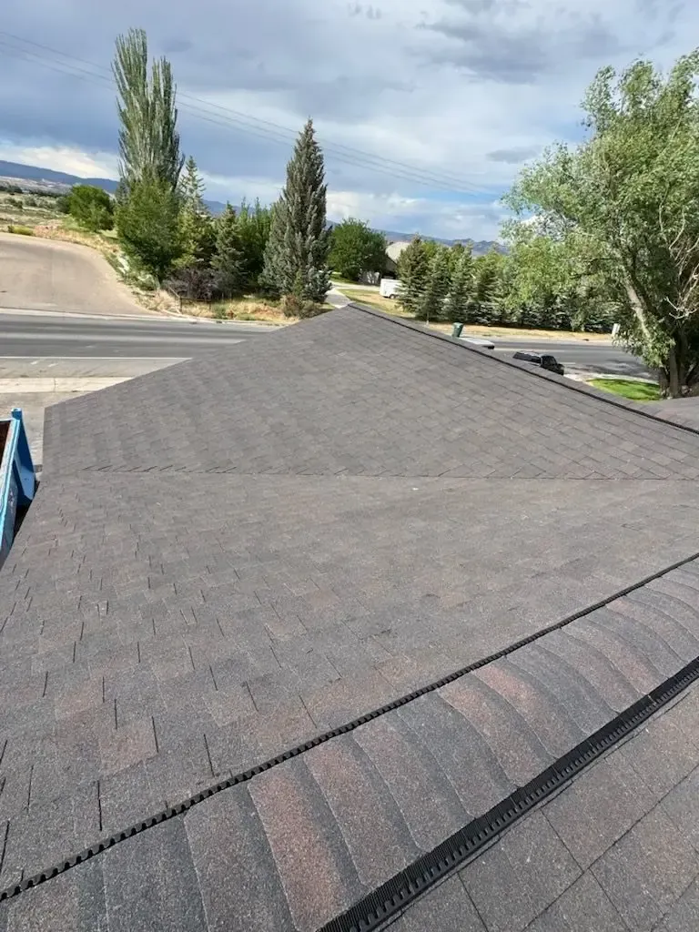 Dark shingle roof, asphalt color, extends to street with trees and cloudy sky in background.