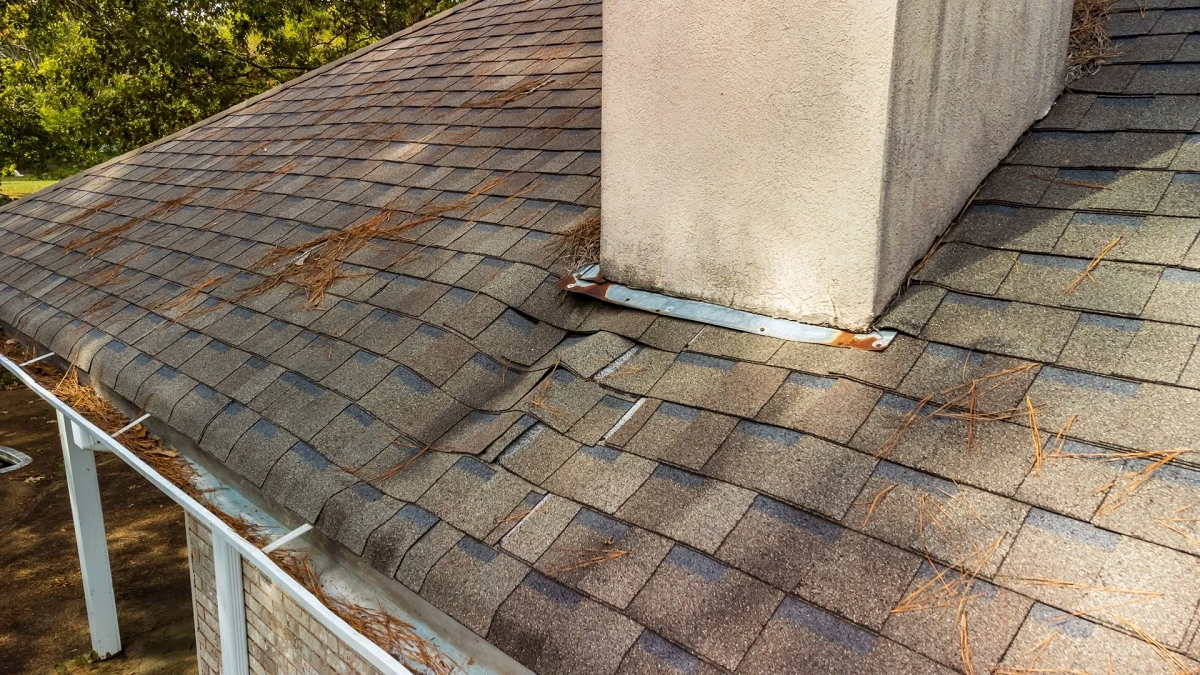 roof consultation