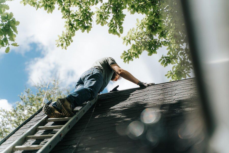 Roof Repair and Maintenance
