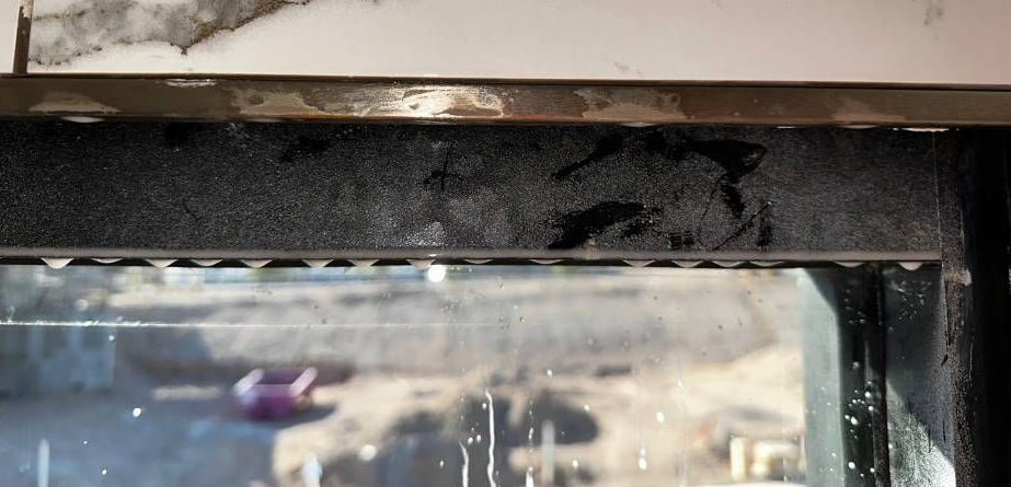 A black carpeted floor with a green pergola in the background