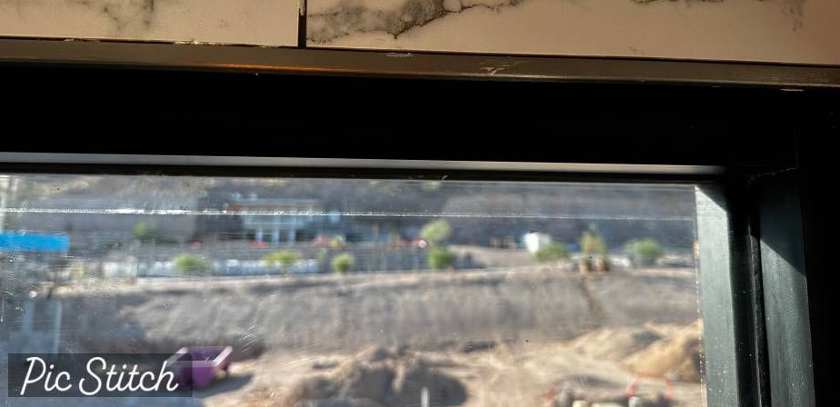 A reflection of palm trees in a pool of water