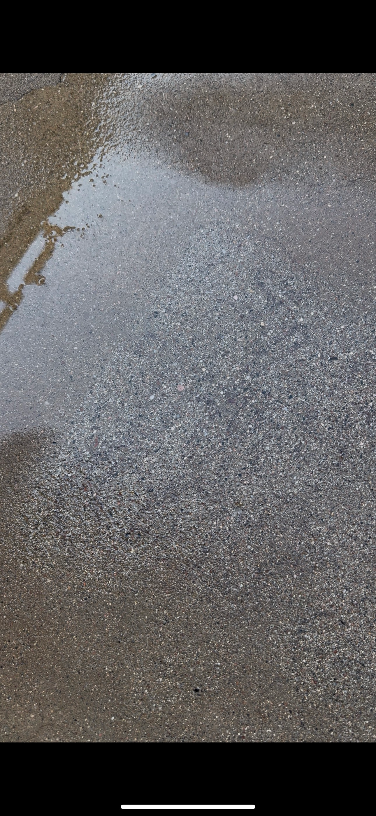 Wet concrete surface.