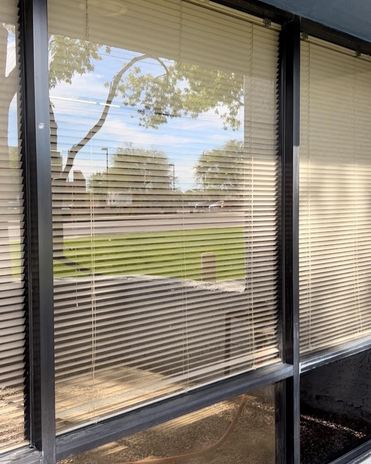 A window with blinds and a reflection of trees in it